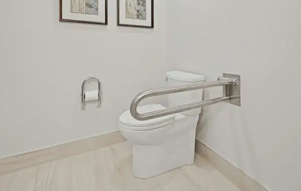 A toilet with a fold-down grab bar